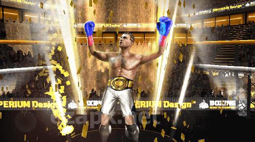 Boxing fight: Real fist