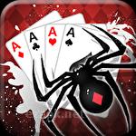 Spider solitaire