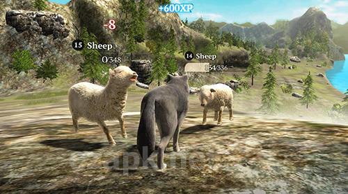 The wolf: Online simulator