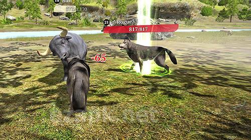 The wolf: Online simulator