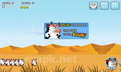 Cowaboom