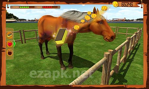 Horse show jumping challenge