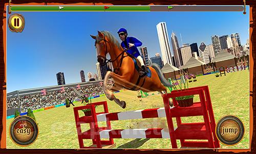 Horse show jumping challenge