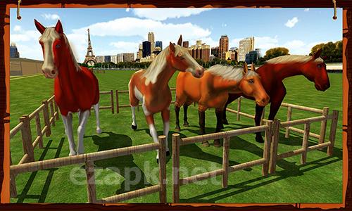 Horse show jumping challenge