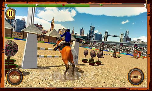 Horse show jumping challenge