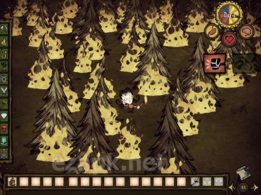 Don’t starve