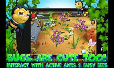 Bug Village