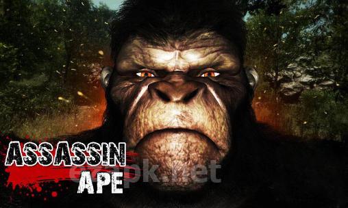 Assassin ape 3D
