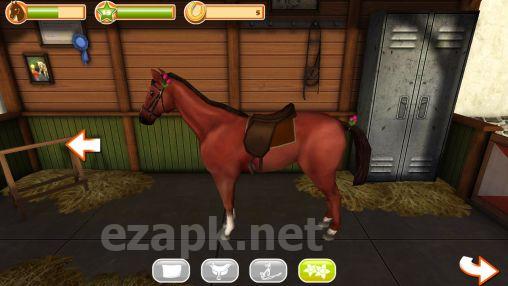 Horse world 3D: My riding horse