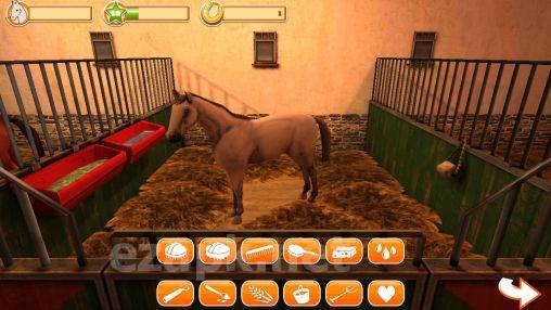 Horse world 3D: My riding horse
