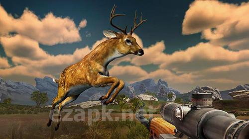 Hunting challenge