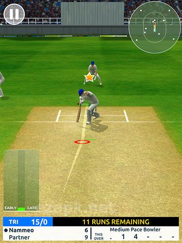 Cricket megastar