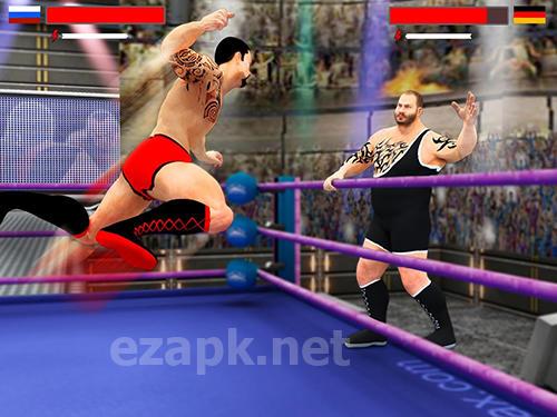 Stars wrestling revolution 2017: Real punch boxing