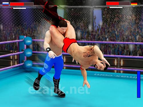 Stars wrestling revolution 2017: Real punch boxing