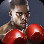 Punch boxing