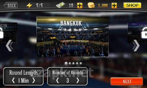 Punch boxing