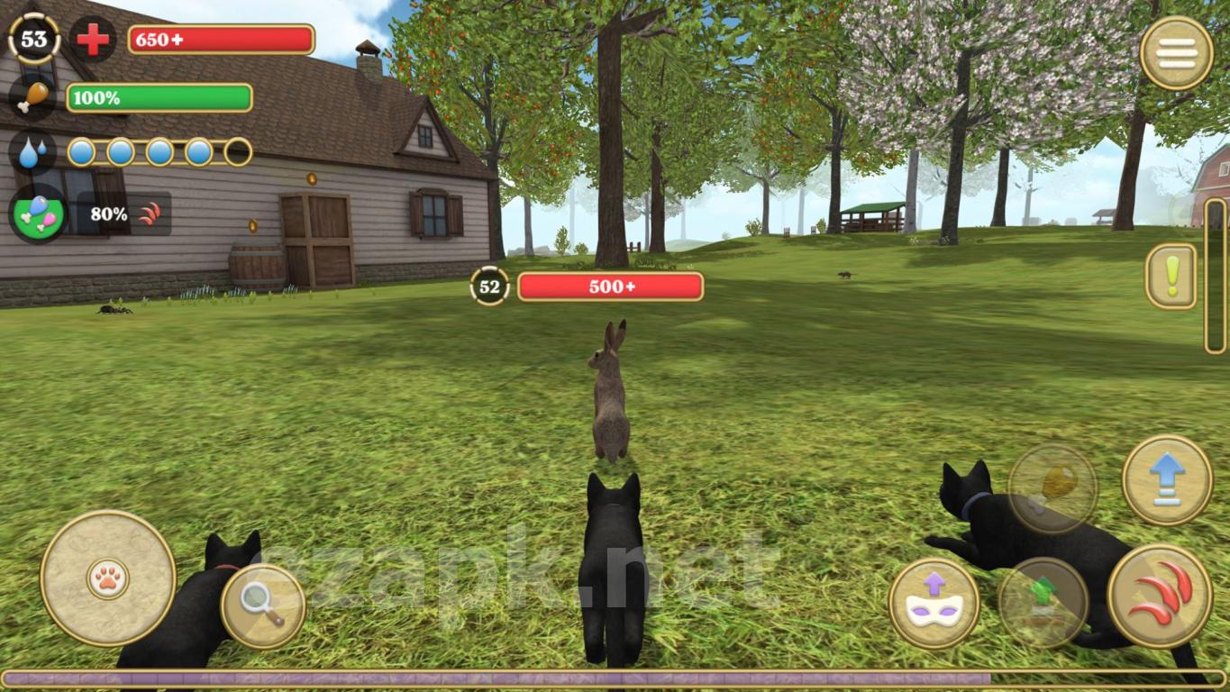 Cat Simulator 2020