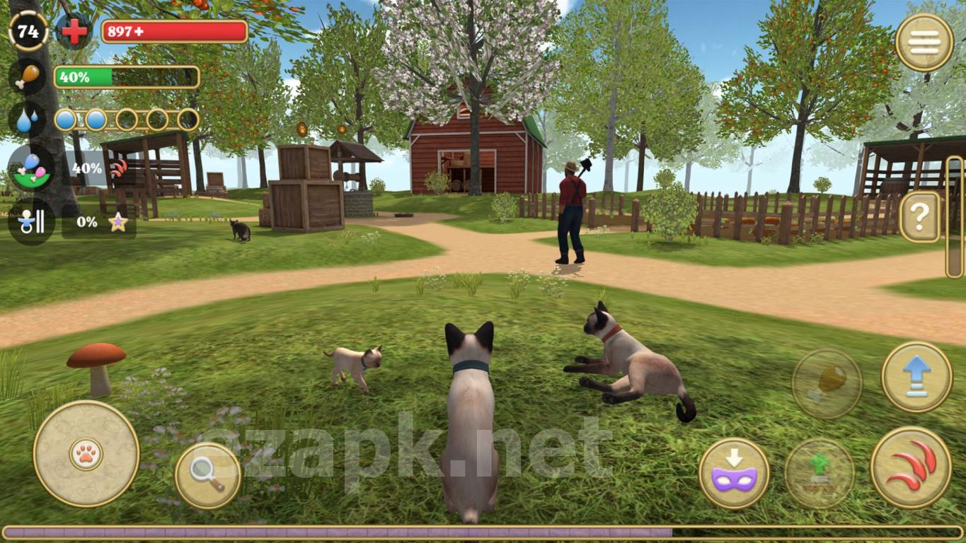 Cat Simulator 2020