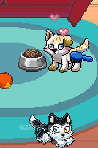 Pixel petz