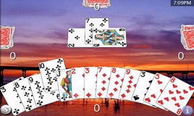 CardShark