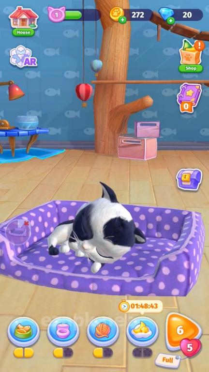 Catapolis: Grand Pet Game | Kitty simulator