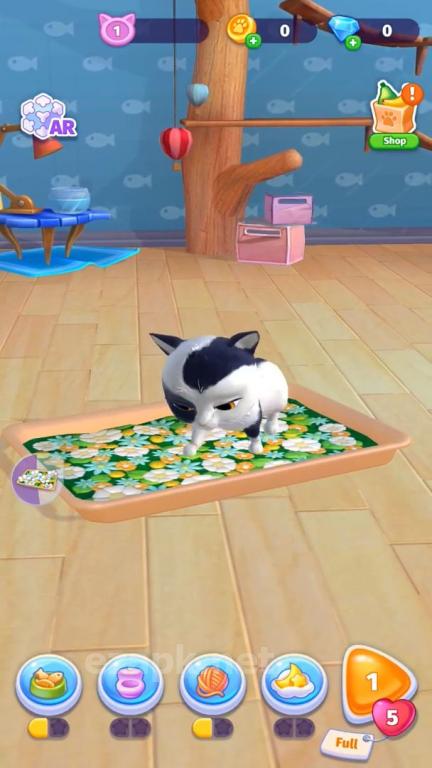 Catapolis: Grand Pet Game | Kitty simulator
