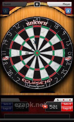 Darts match
