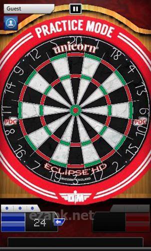 Darts match