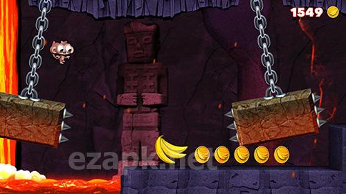 Dare the monkey