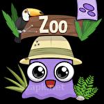 Moy zoo
