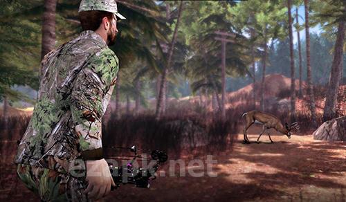 Bow hunter 2015