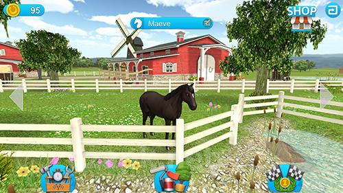 Horse world: Show jumping