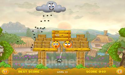 Cover Orange
