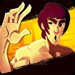 Bruce Lee: Enter the game