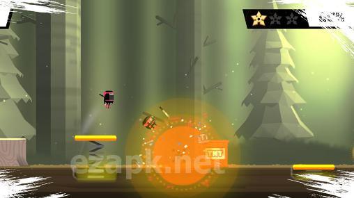 The last ninja twins