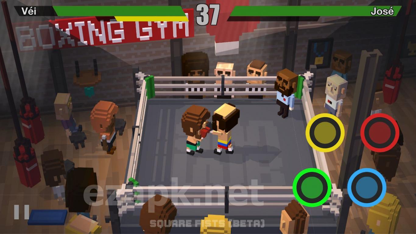Square Fists Boxing