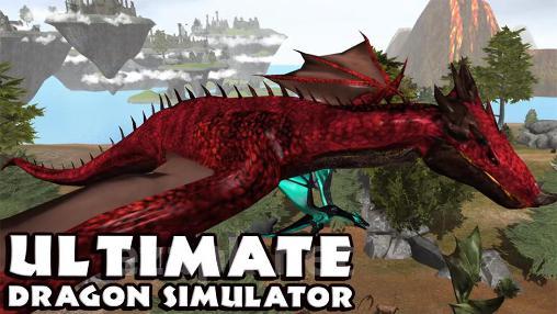 Ultimate dragon simulator