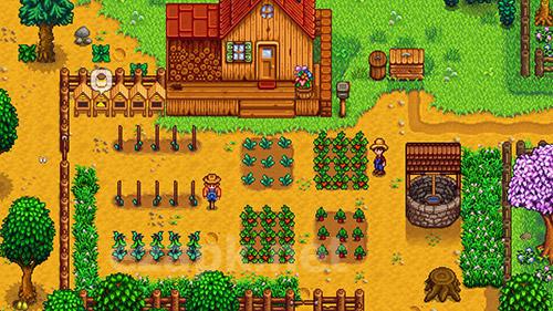 Stardew valley