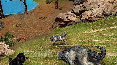 Scary wolf: Online multiplayer game