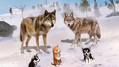 Scary wolf: Online multiplayer game