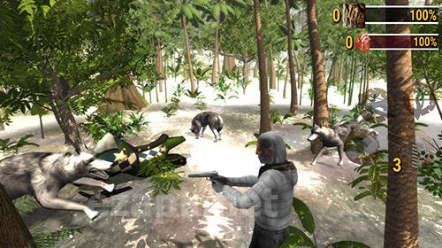 Ice age hunter: Evolution