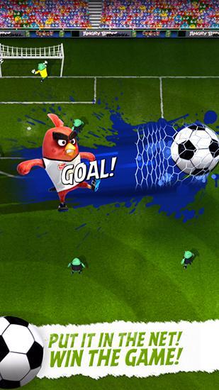 Angry birds: Goal!