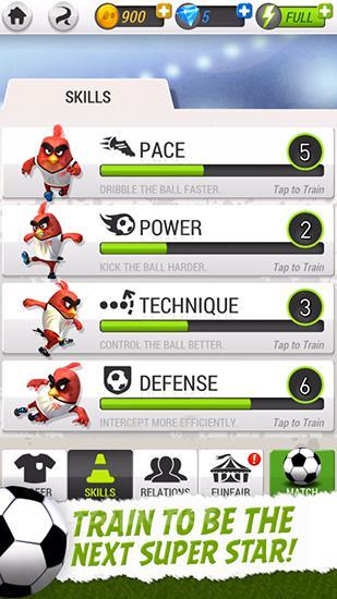 Angry birds: Goal!