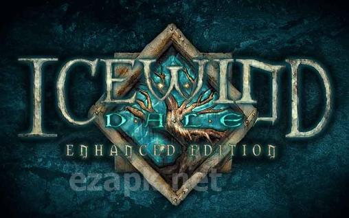 Icewind dale: Enhanced edition