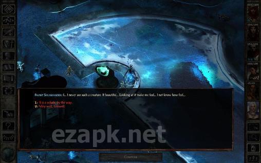 Icewind dale: Enhanced edition