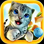 Cat simulator 2015