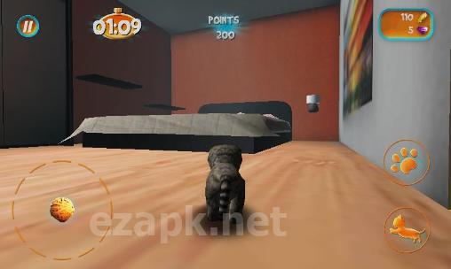 Cat simulator 2015