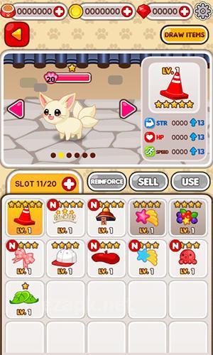 Animal Judy: Nine-tailed fox care