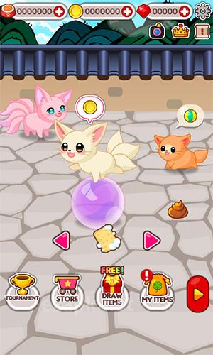 Animal Judy: Nine-tailed fox care