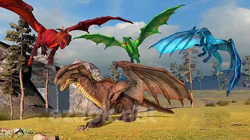 Clan of dragons: Simulator